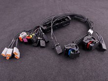 BMW M54 Plugin adapter (MaxxECU RACE) M54專用線組